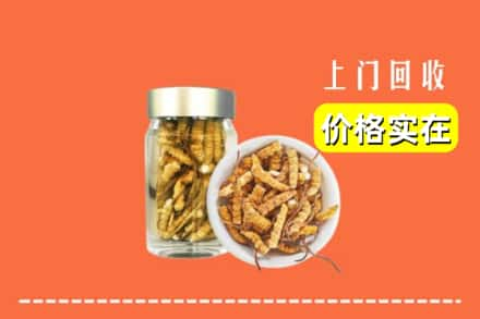 高价收购:昆明五华区上门回收散虫草